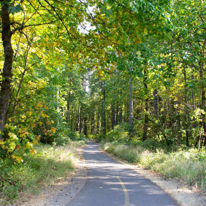 Near Middle Fork Path