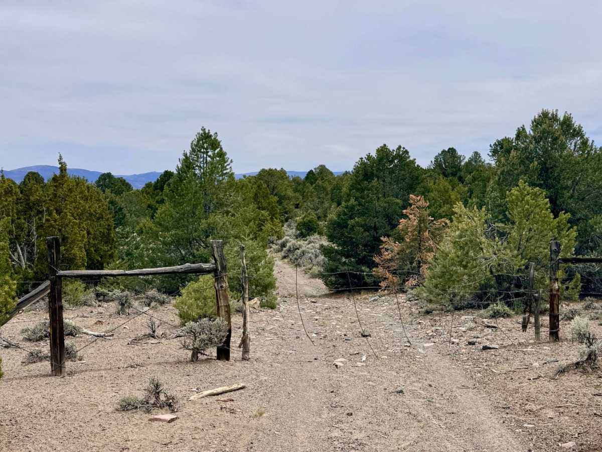 Deer Spring Trail - FS 23201 photo 6