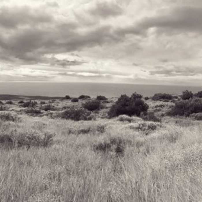 Near Alternate Keauhou Access Trail