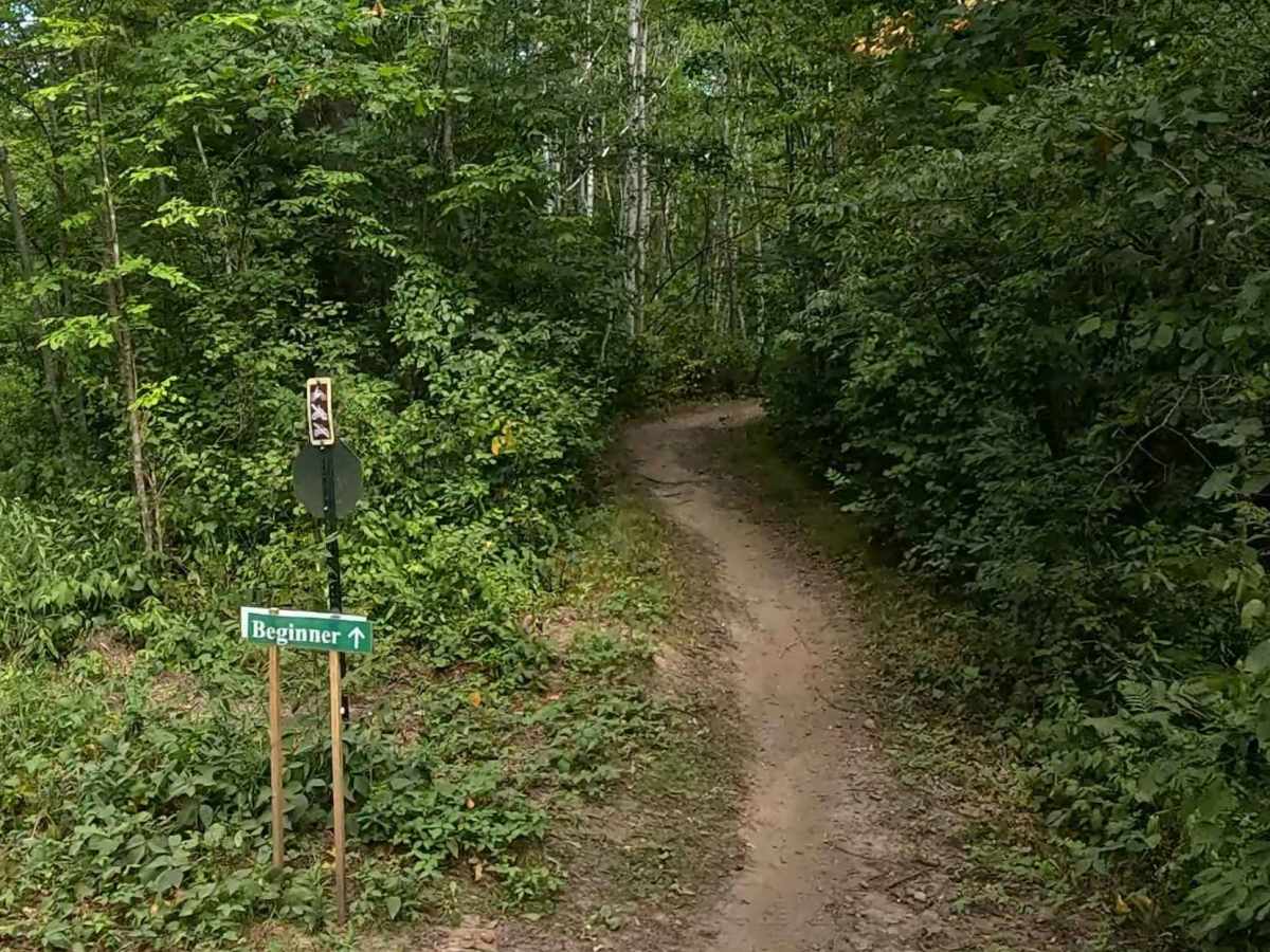 Chelsey Brook Trail trail photo