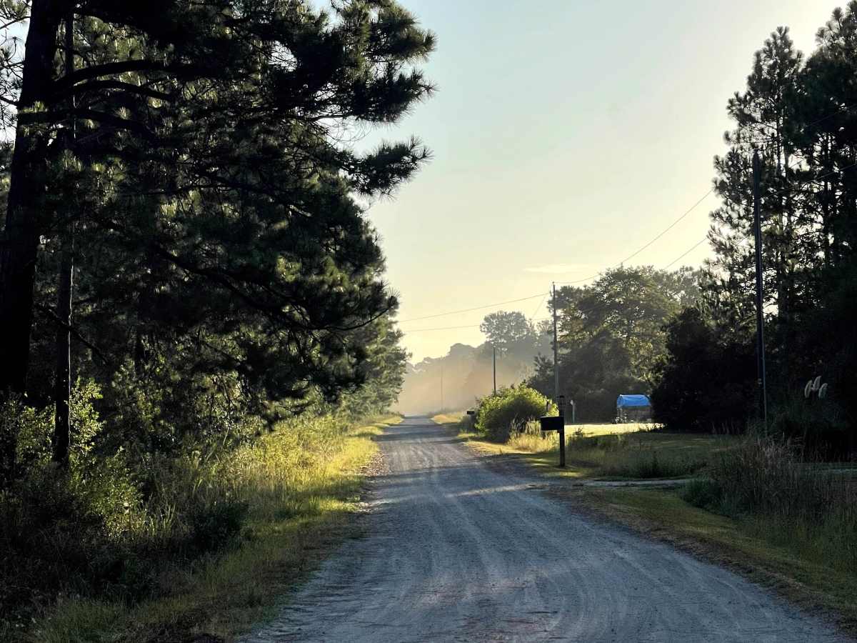 Ranch Road photo 4