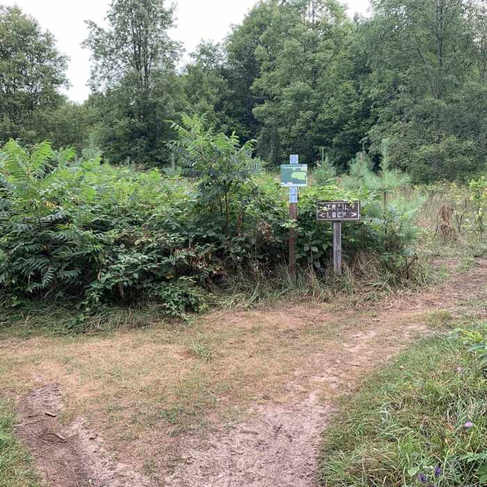 Near Chestnut Trail Loop