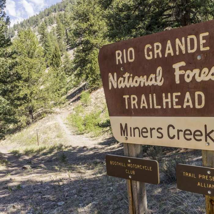 Near Miners Creek Trail