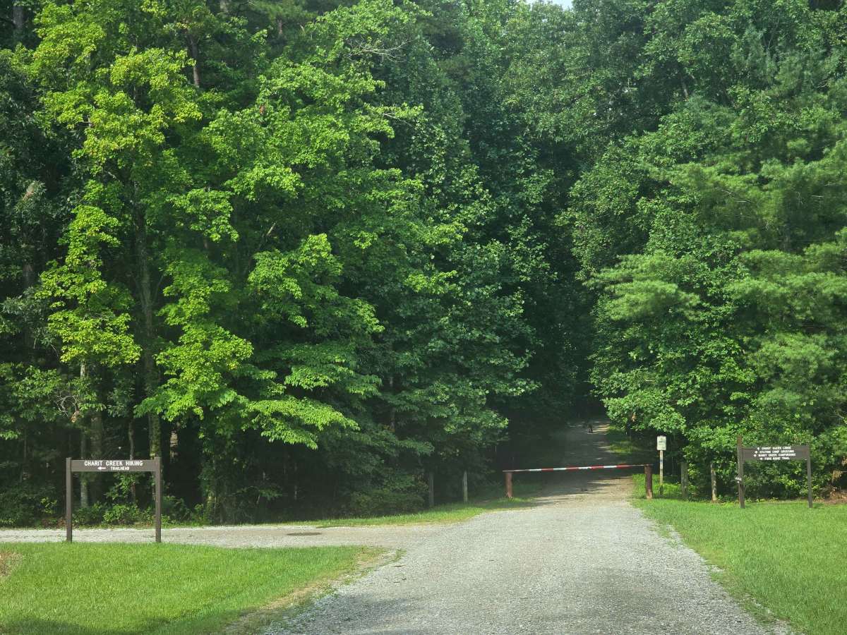 Fork Ridge Road photo 4