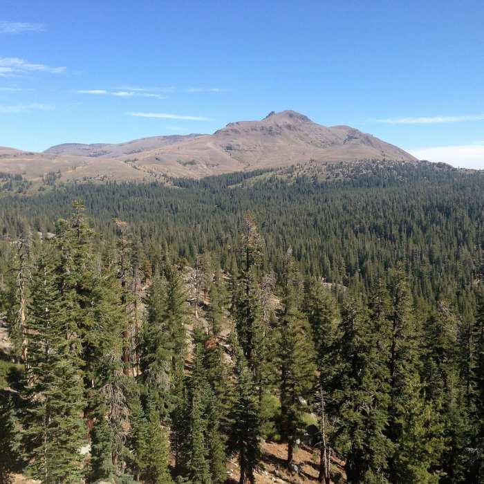 Near Round Top Lake Trail