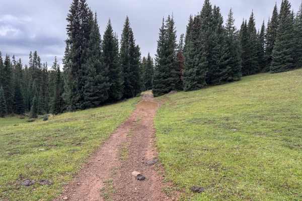 Turkey Creek Road