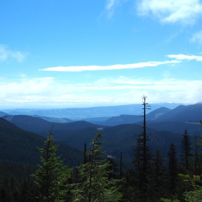 Near Grassy Knoll to Big Huckleberry Mountain