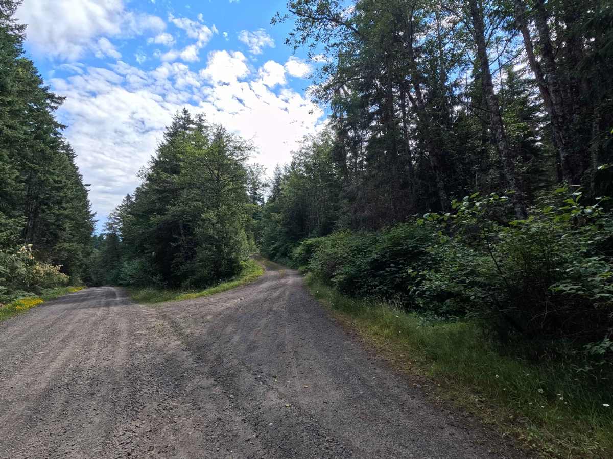 FS 2870150 trail photo