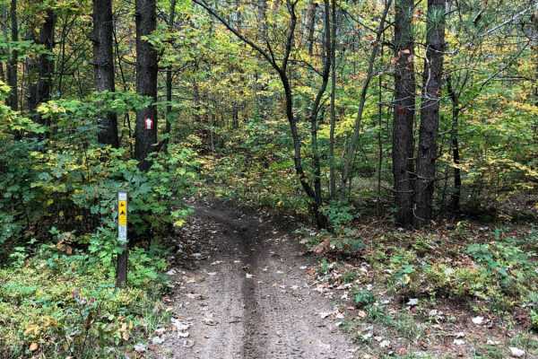 Crapo Creek Trail