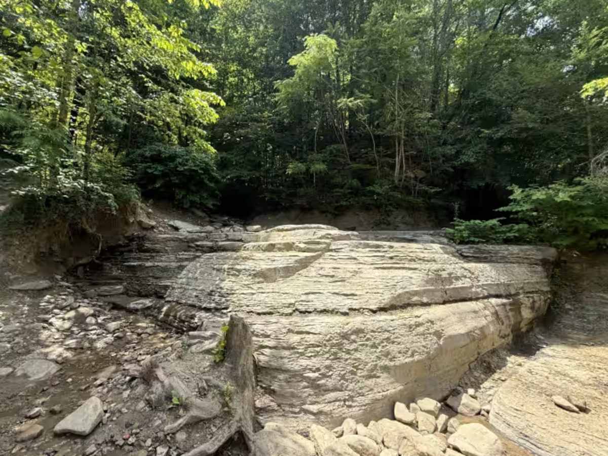 Rail Bed trail photo