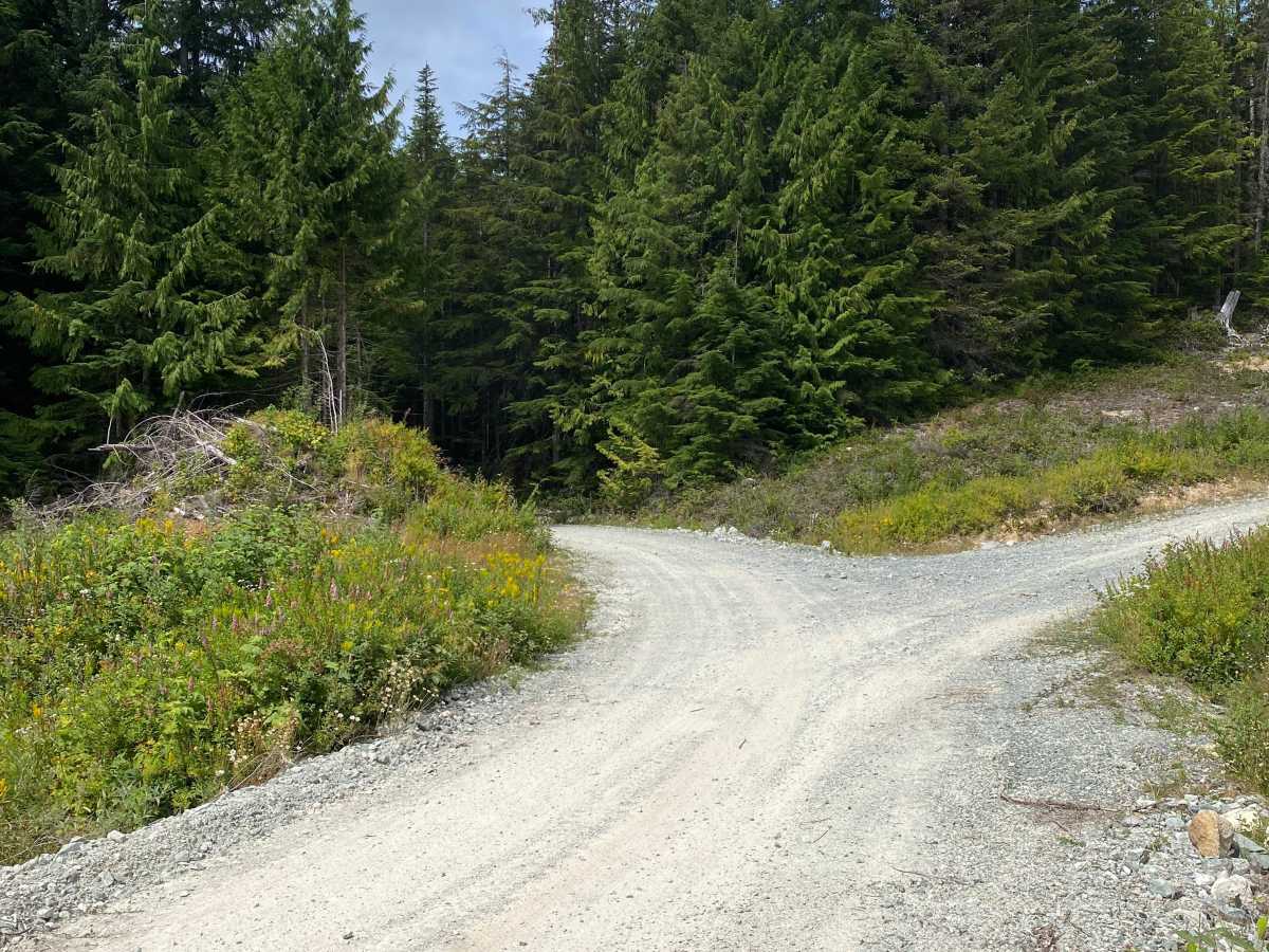 Richardson Lake Trail  photo 3