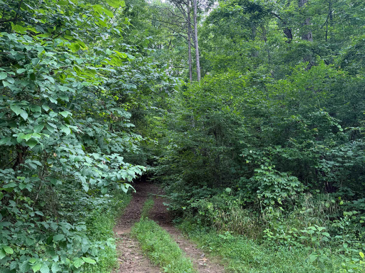 Side Slanter trail photo
