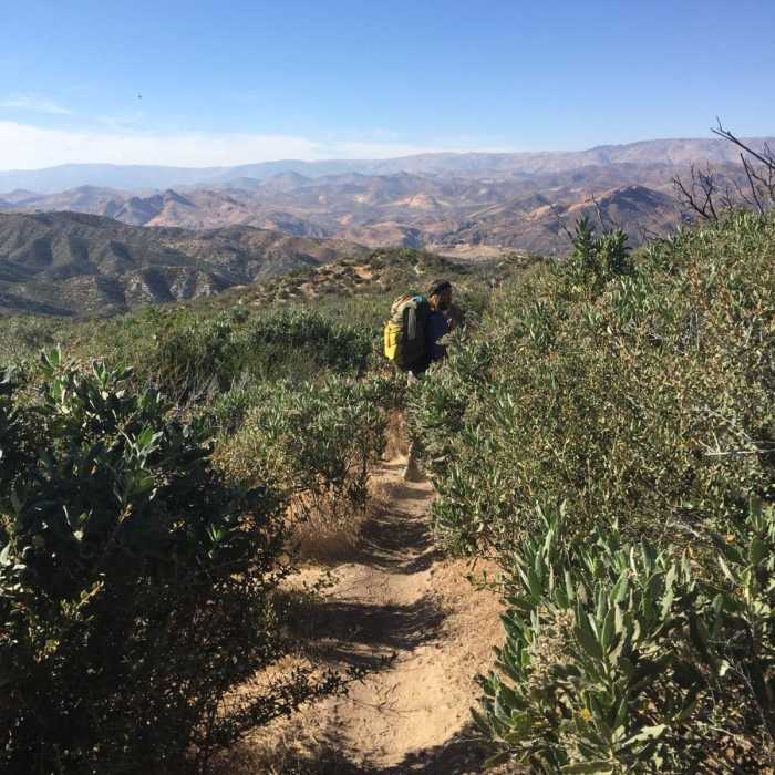 Near Indian Canyon Trailhead to North Fork Saddle Picnic Area