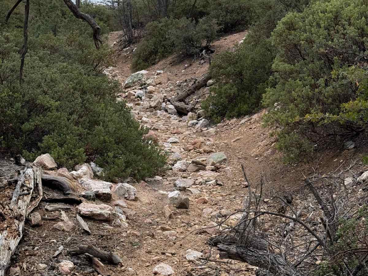 #9044  trail photo