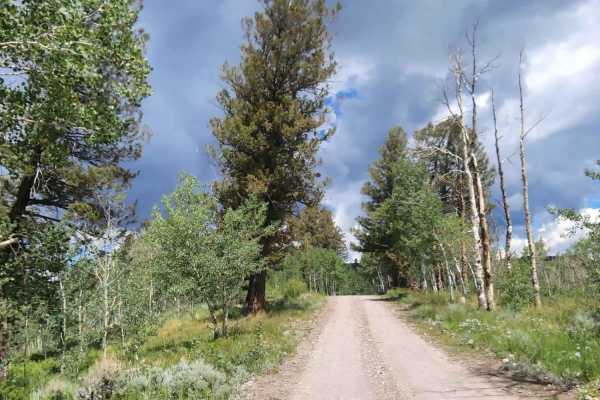 Rainbow Lake Road