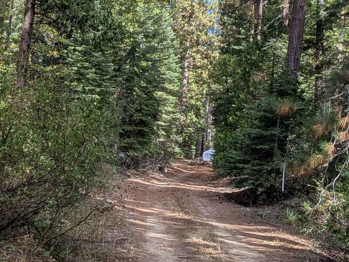 FS 4N47Y trail photo