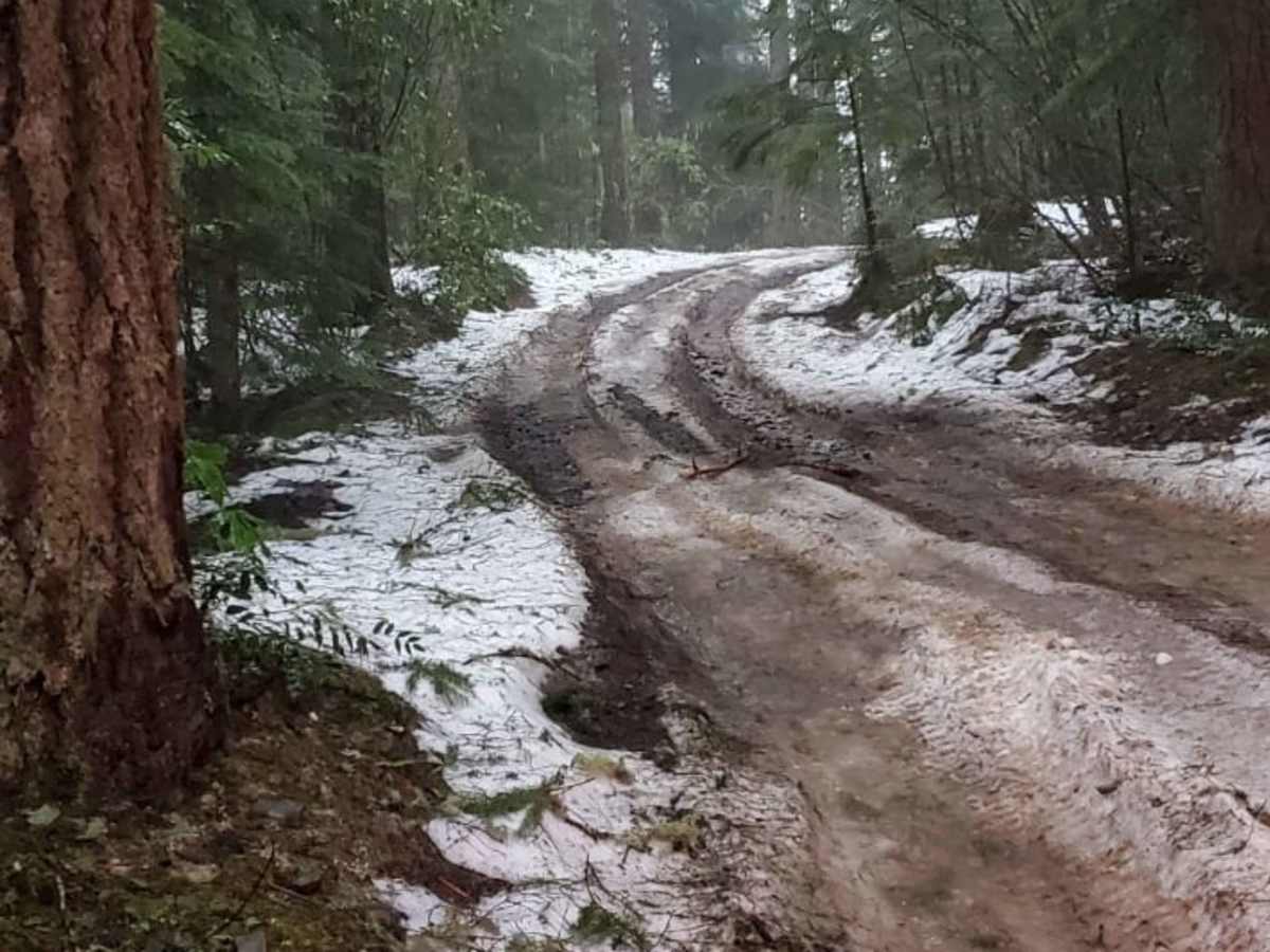 OHV Abbott Road Quarry trail photo