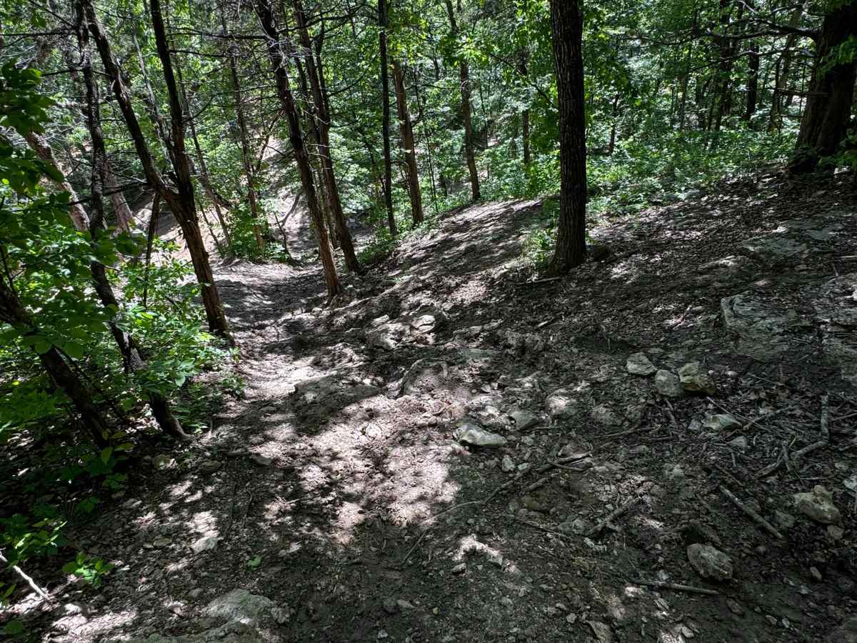Hillside photo 5
