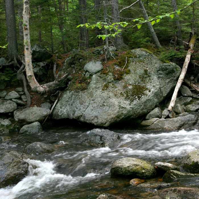 Boulders on the Ellis River. Near John Sherburne Ski Trail