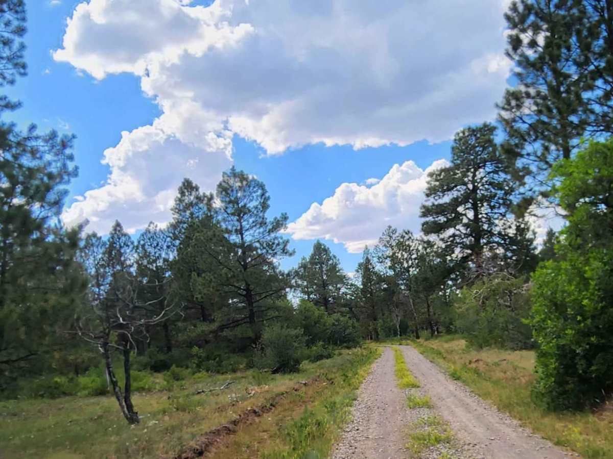 Flat Iron Road photo 5