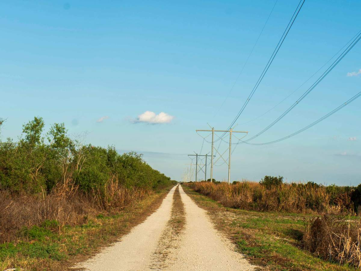 East Miami Canal  photo 4