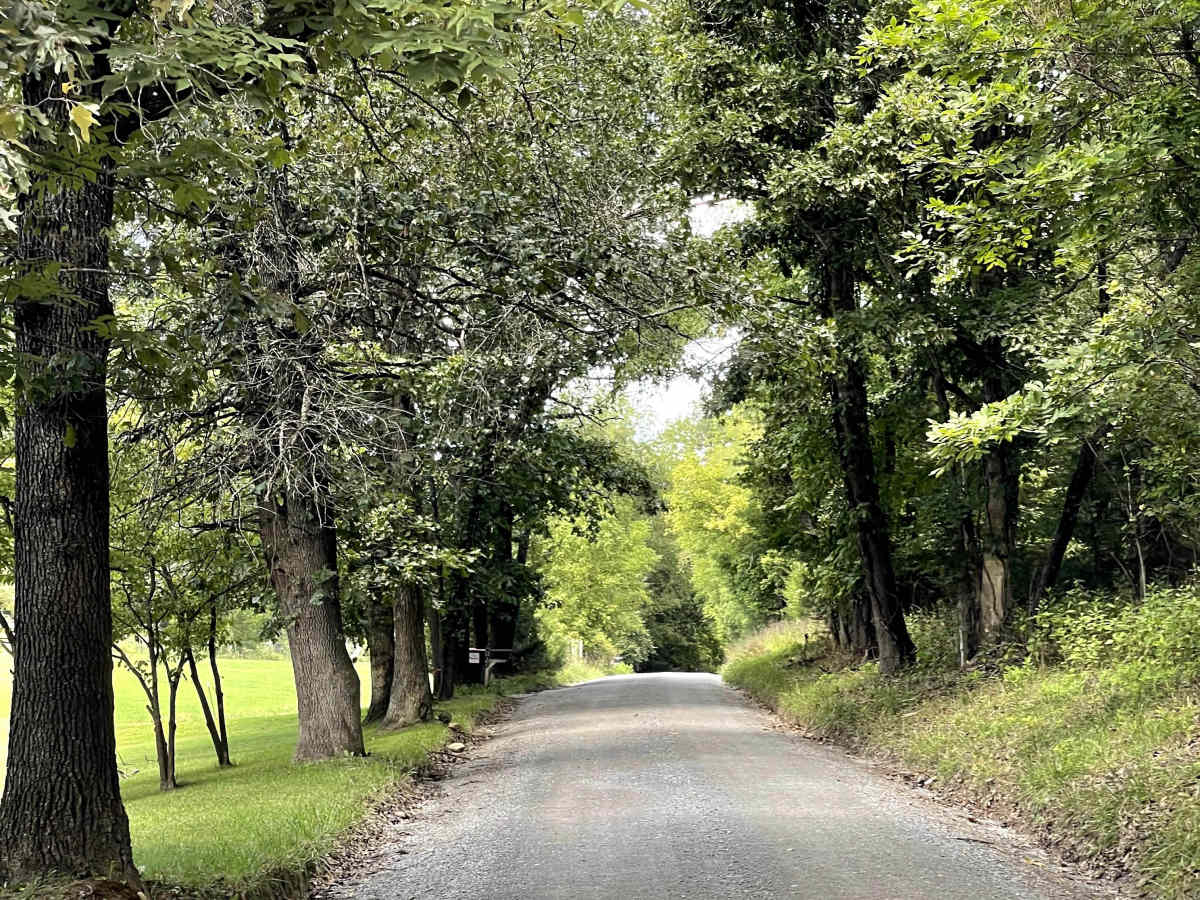 Route 685 photo 4