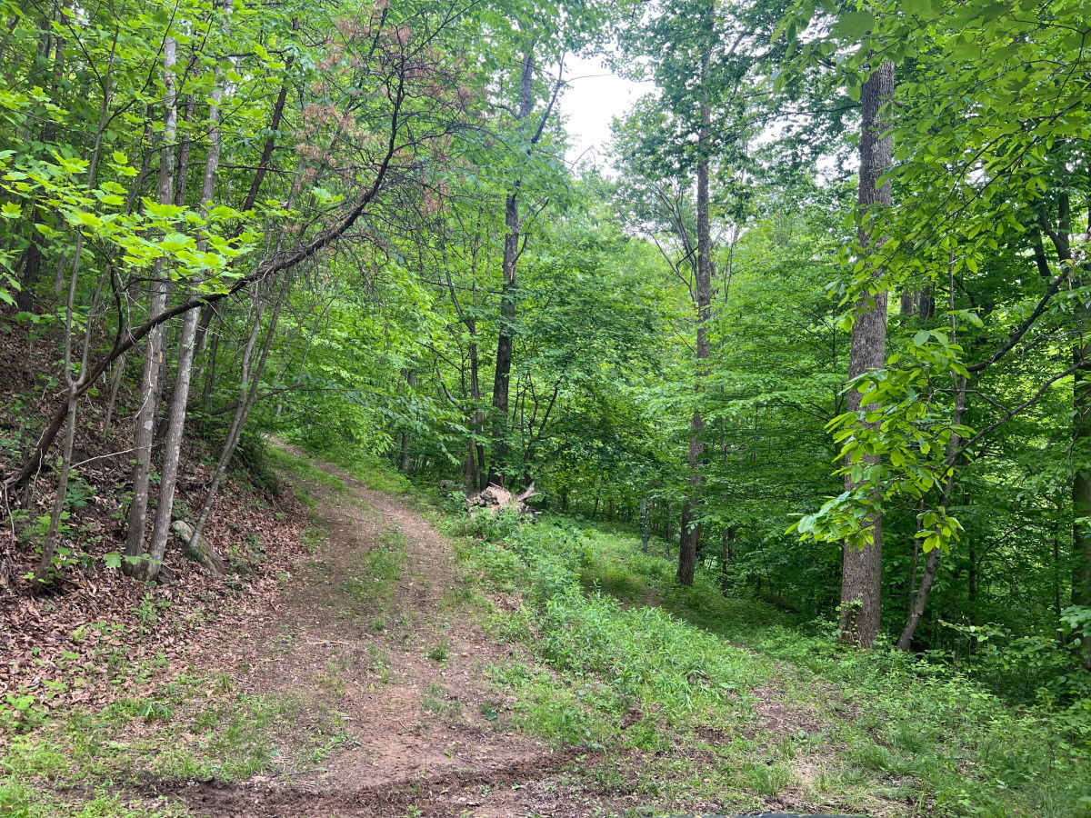 Q59 photo 6
