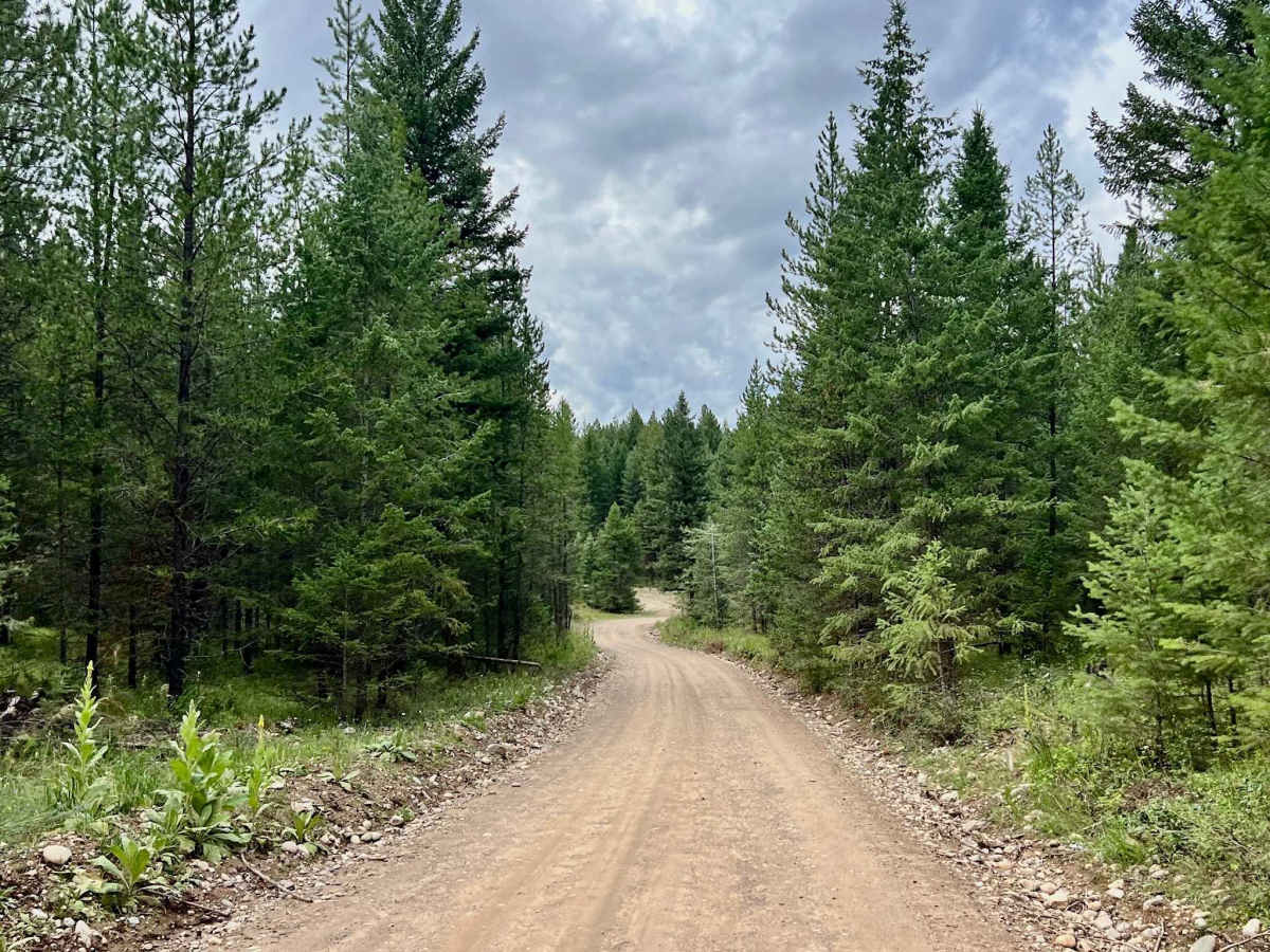 Suzanne Lake Road photo 4