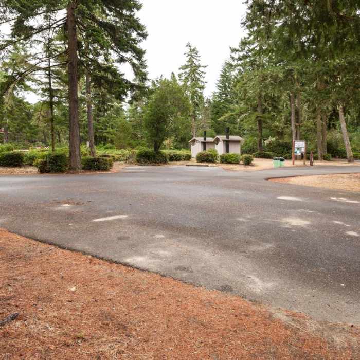 Near John Dellenback Trail