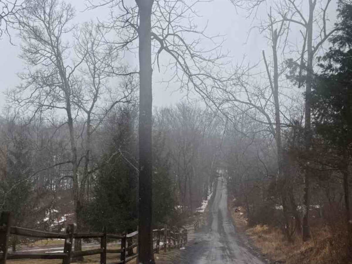 Mount Airy Road  photo 4