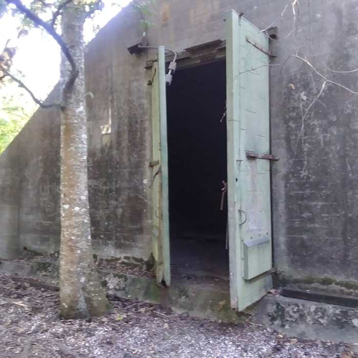 Near Woodlands Trail