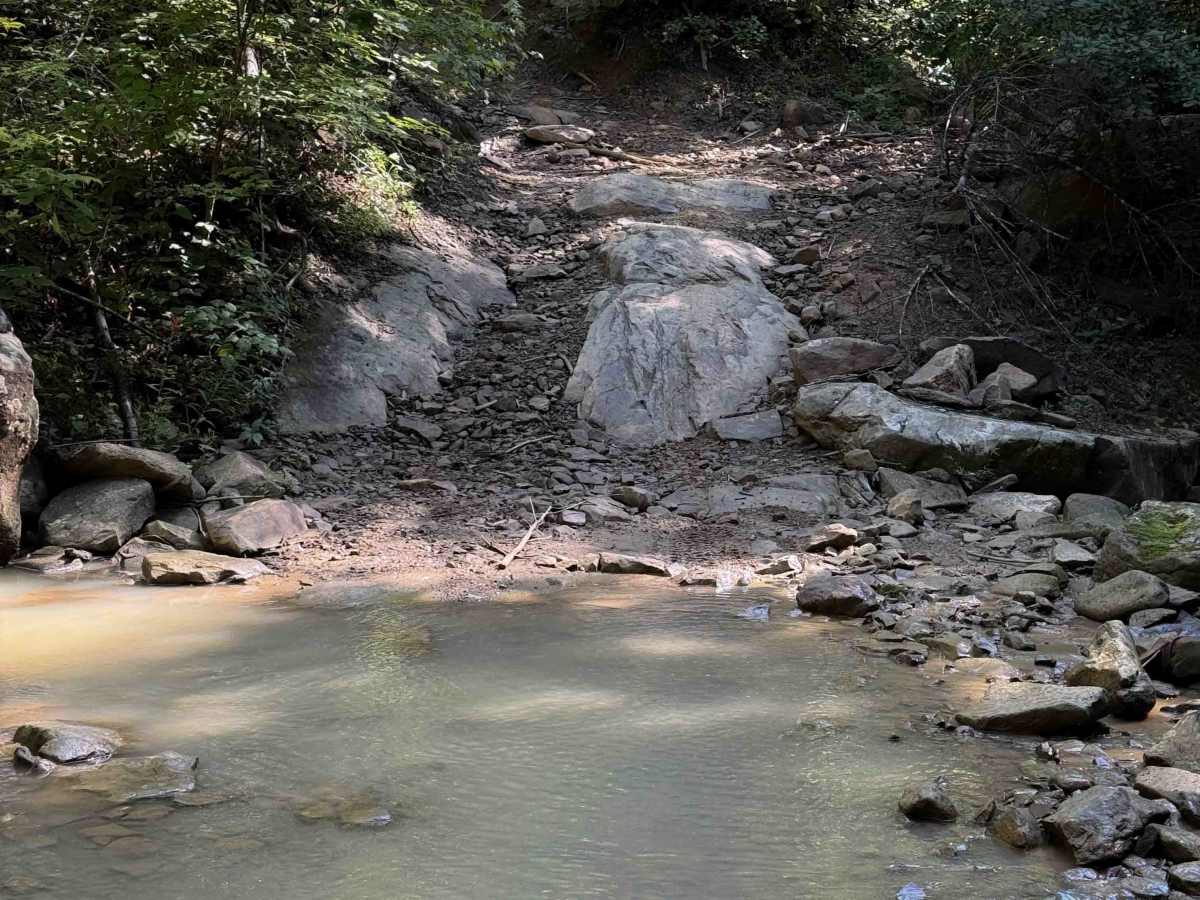 Louse Creek Trail 20  trail photo