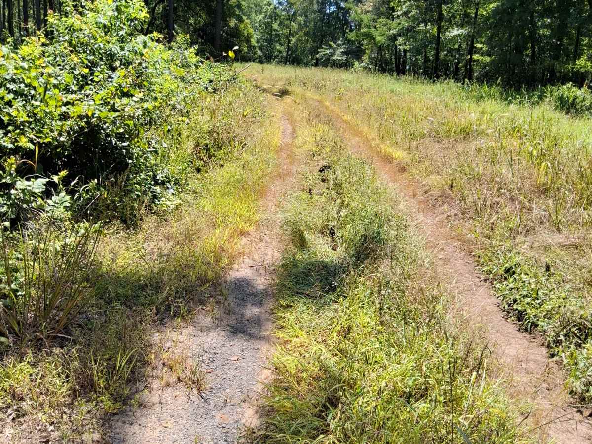 Eoff Road photo 4