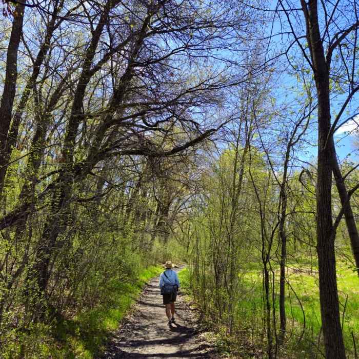 Near Bjorkland Lake Trail