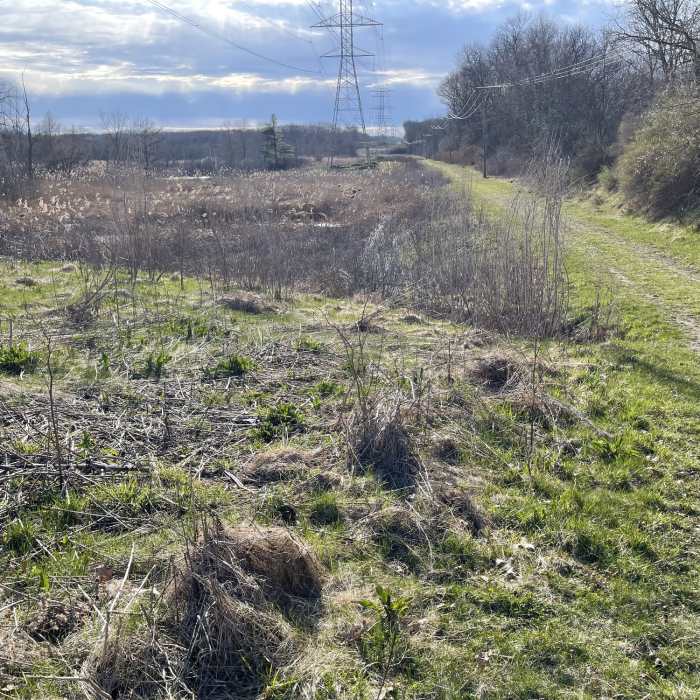 Near Inwood Trail 4.5-Mile Loop