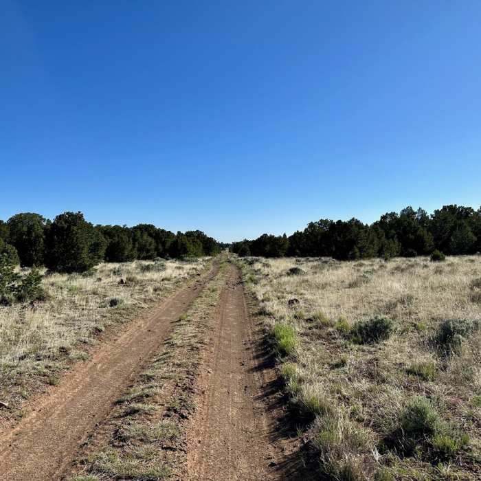 Near CDT: New Mexico Section 22 Near CDT: New Mexico Section 22