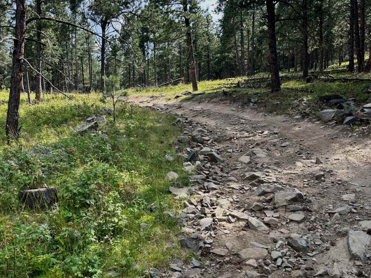 Gordon Gulch Branch - FS 699.1A trail photo