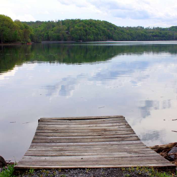 Near Cheat Lake Trail