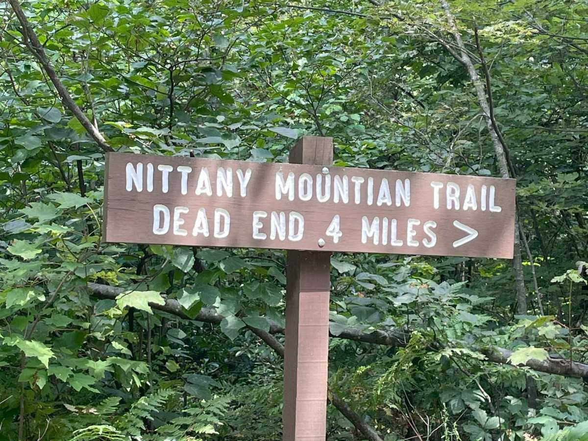 Running Gap Road photo 6