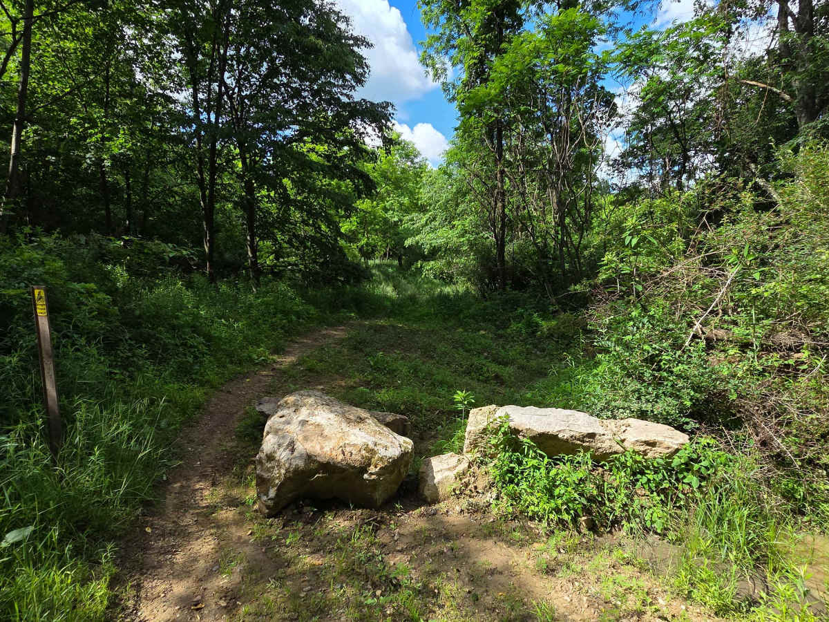Single Track I trail photo