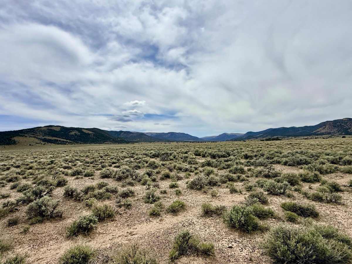 Stonebridge Connector - BLM138 photo 4