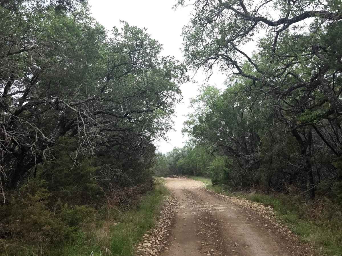 Vista ATV/UTV photo 2