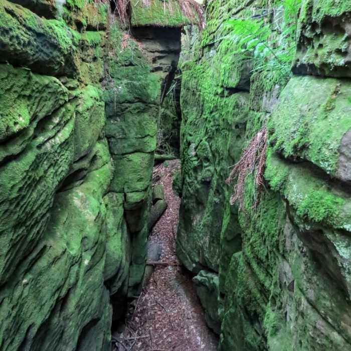 One of the great crevices that kids can see in Beartown State Park Near Beartown State Park