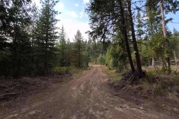 DNR Road 344428E