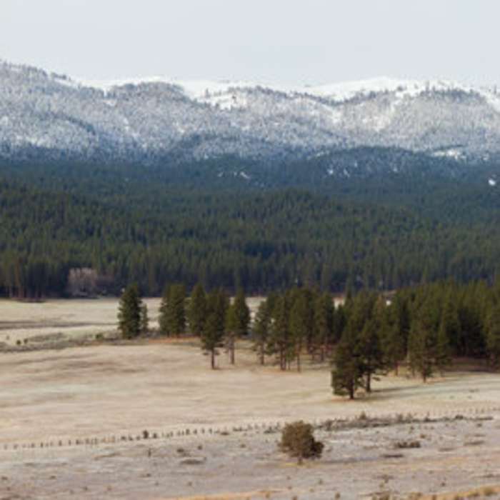 Near Lassen Creek Conservation Area Trail