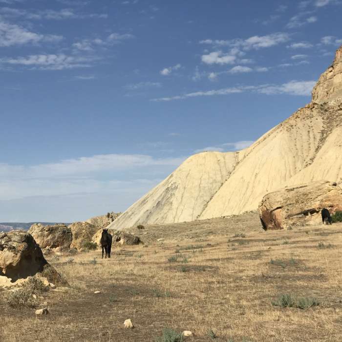 Near Mount Garfield Trail Out and Back