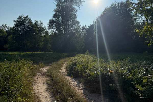 Cedar Road Loop Trail