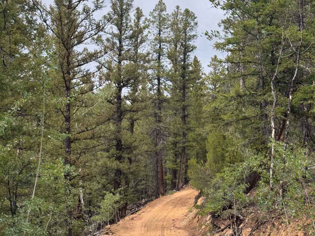 Roaring Judy Road photo 6