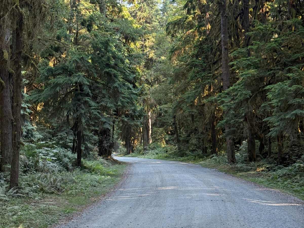 Resort Road photo 3