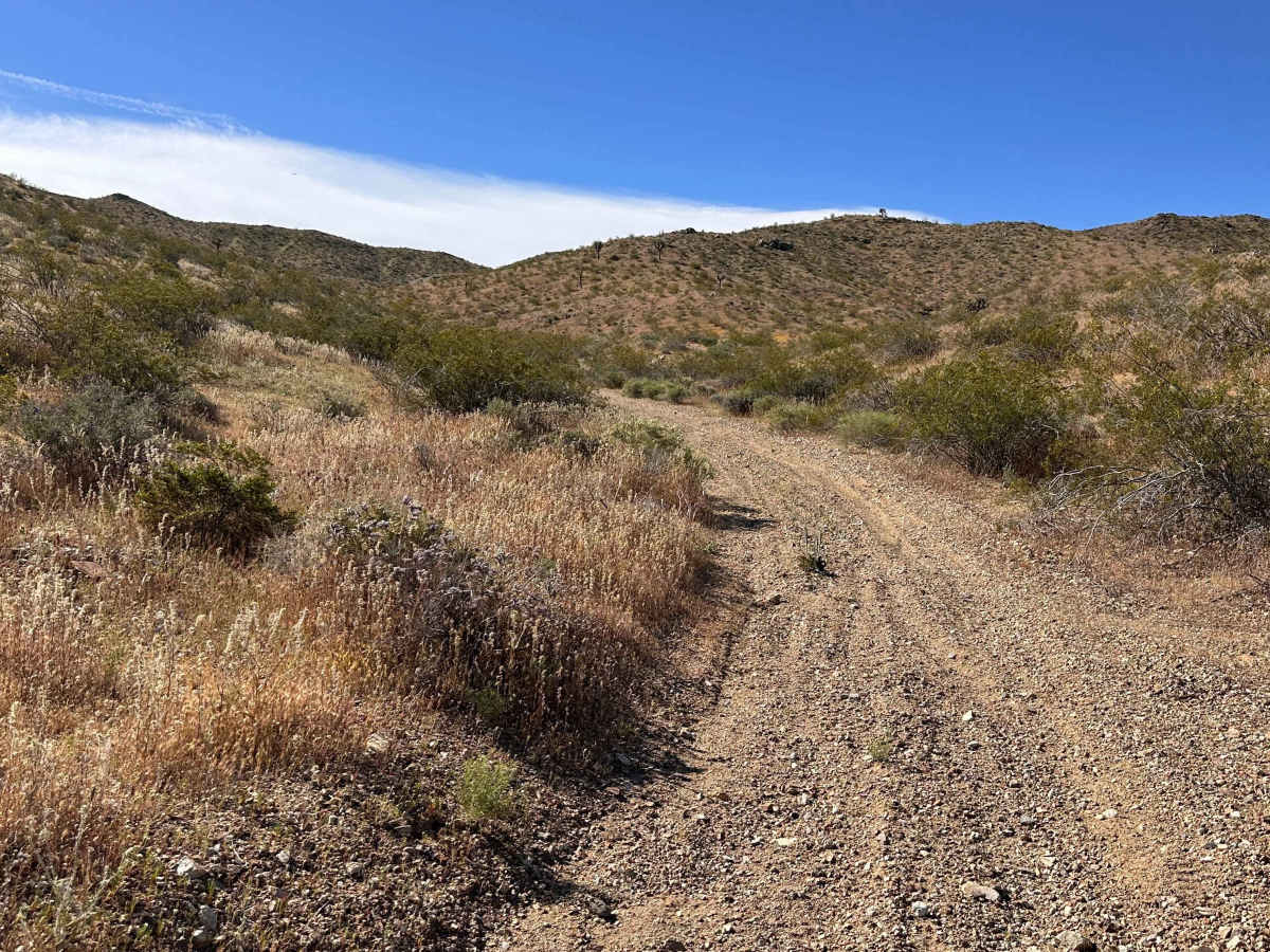 Lost Prospector photo 6